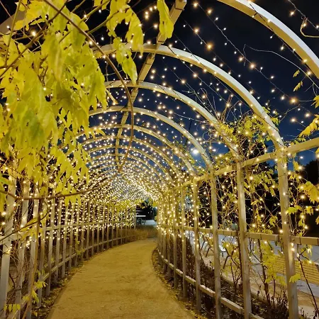 Bursztyn Bed & Breakfast 3*