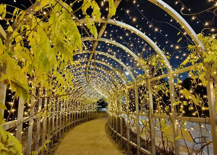 Bursztyn Alojamento de Acomodação e Pequeno-almoço 3*